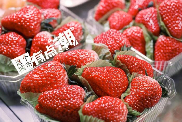 丹東：這一口鮮甜，開啟冬日“莓”好時光