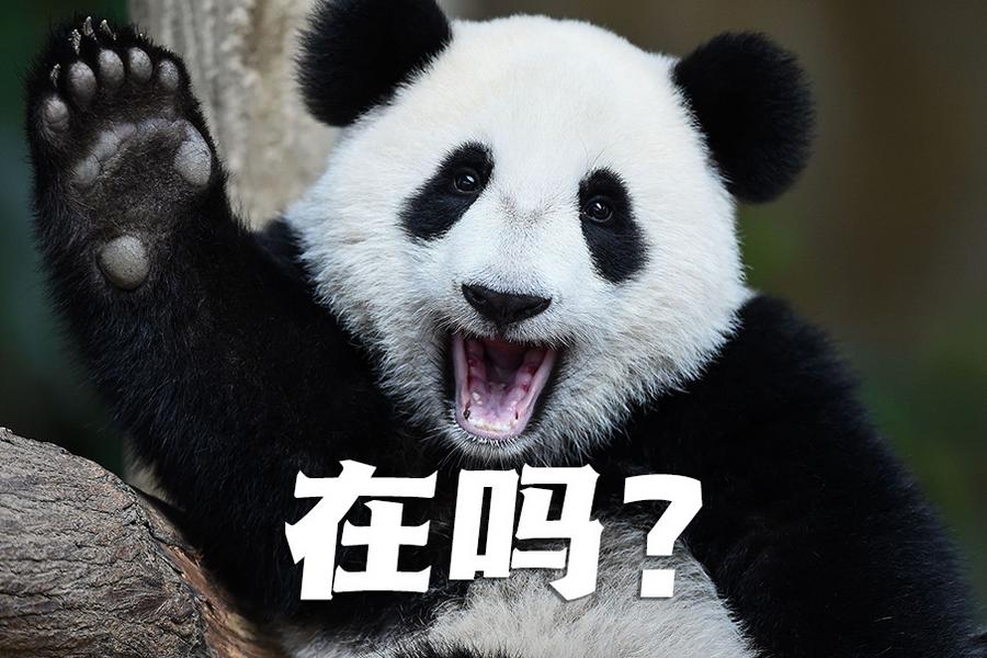 【世界微笑日特刊】嘿嘿，今天你笑了嗎？